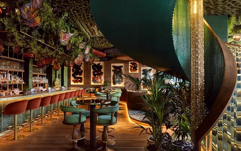 رستوران آمازونیکو دبی