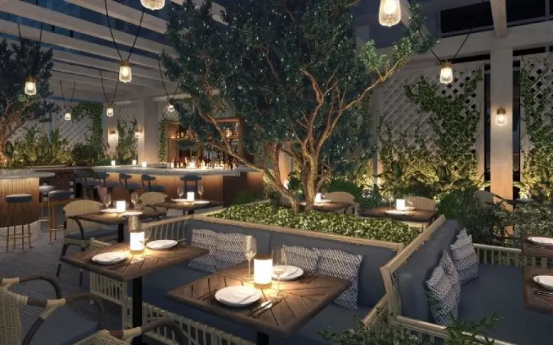 رستوران mina brasserie dubai